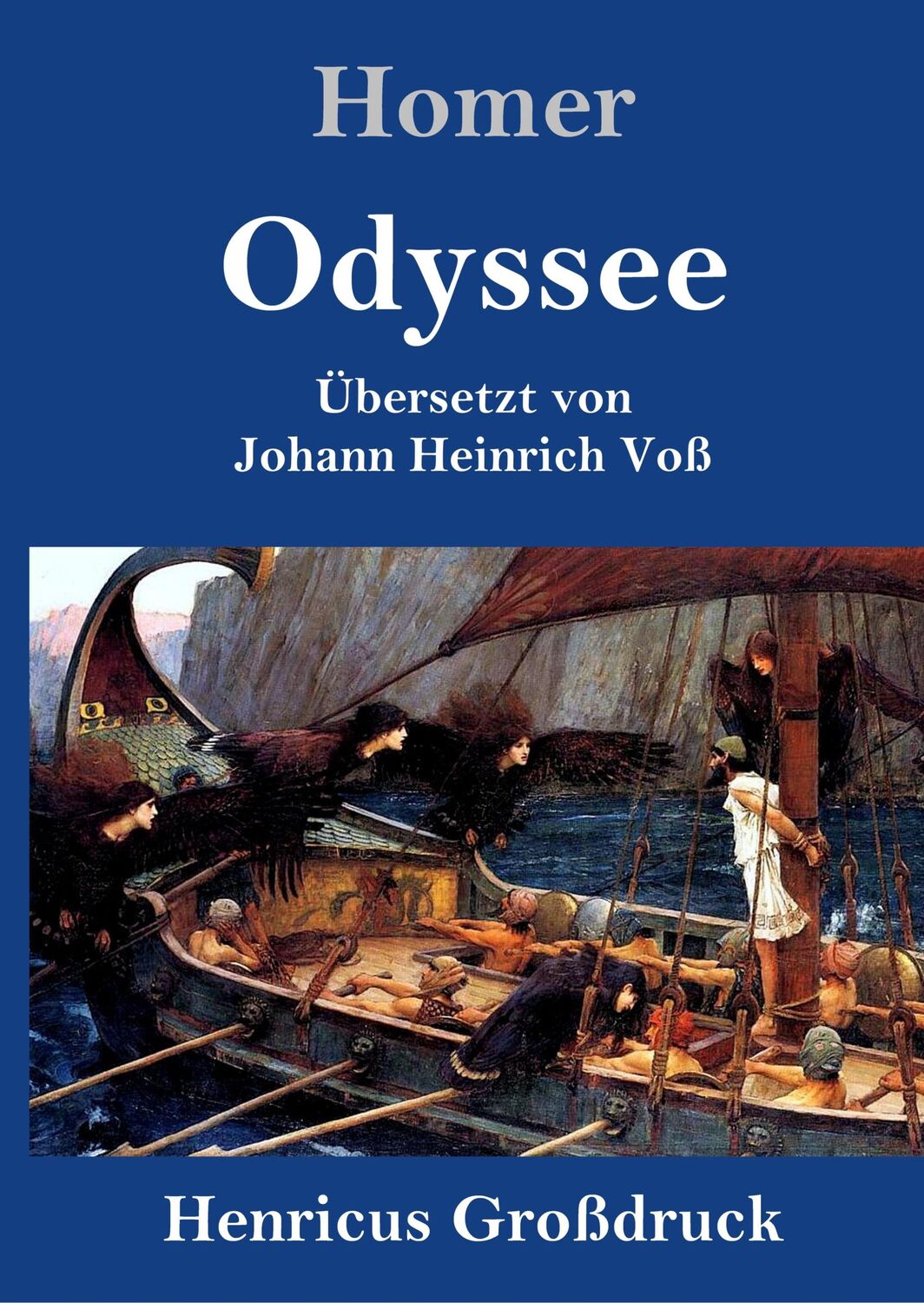 Cover: 9783847829232 | Odyssee (Großdruck) | Homer | Buch | HC runder Rücken kaschiert | 2019