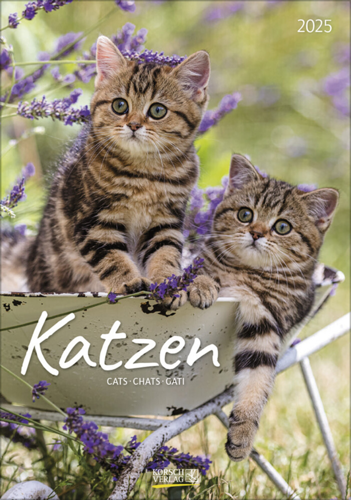 Cover: 9783731876168 | Katzen 2025 | Korsch Verlag | Kalender | Spiralbindung | 13 S. | 2025