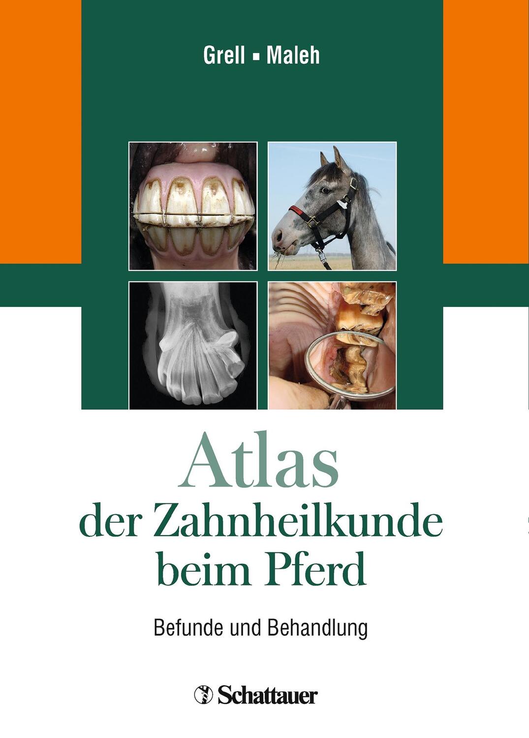 Atlas der Zahnheilkunde beim Pferd - Grell, Martin