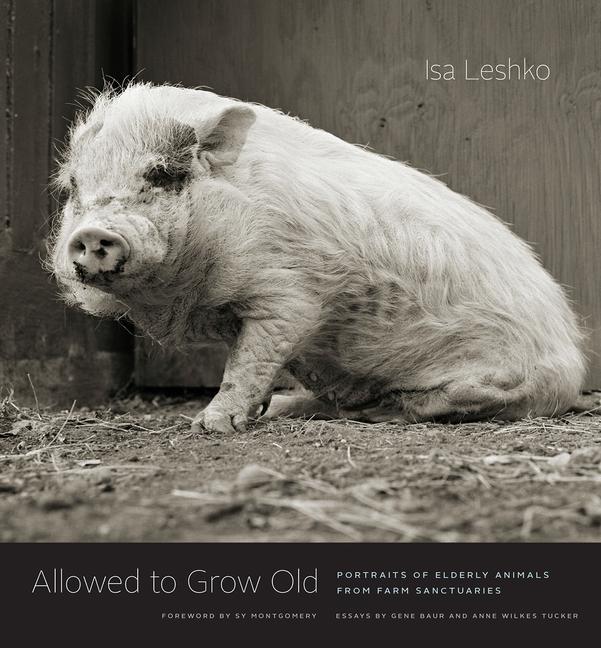 Cover: 9780226391373 | Allowed to Grow Old | Isa Leshko | Buch | Gebunden | Englisch | 2019