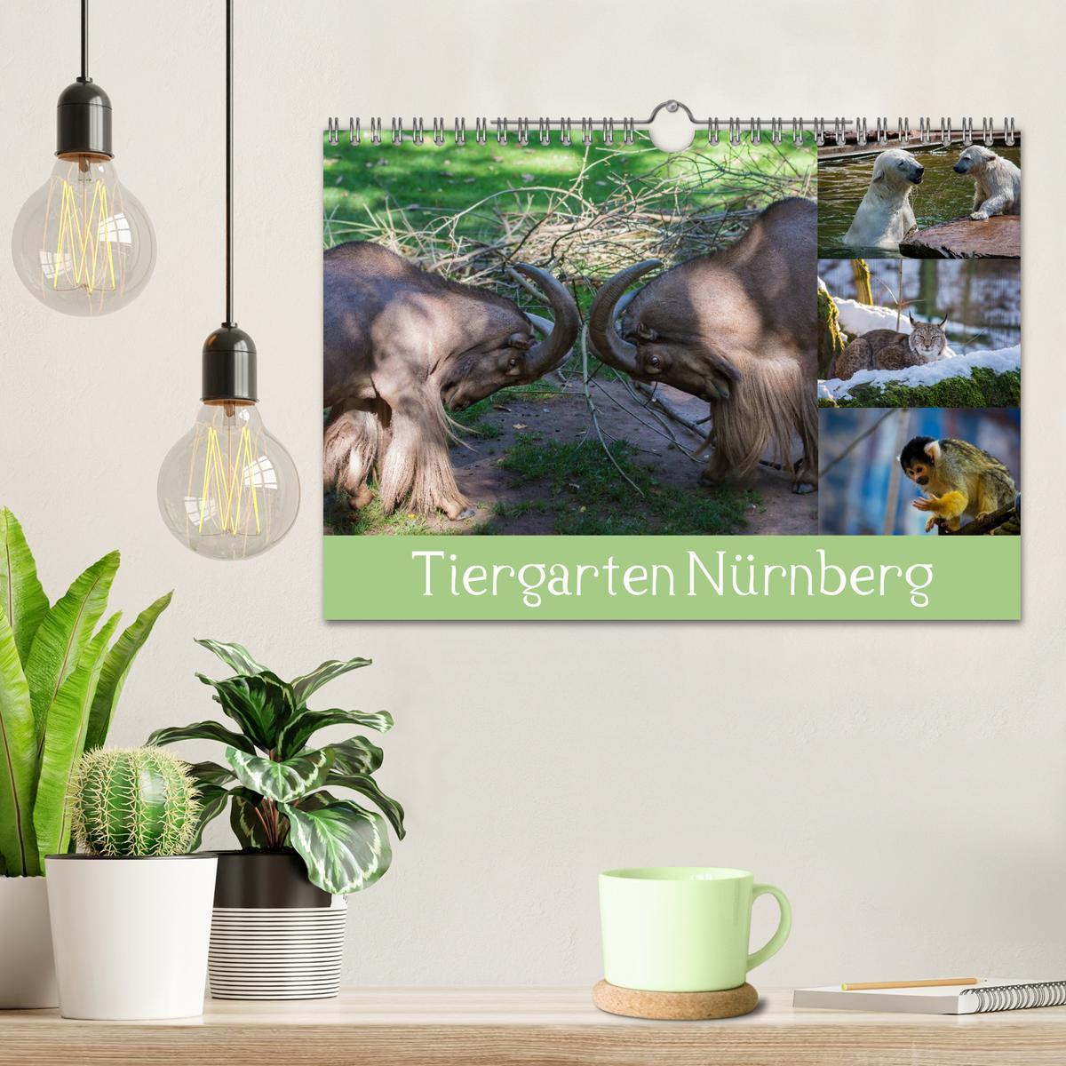 Bild: 9783435460953 | Tiergarten Nürnberg (Wandkalender 2025 DIN A4 quer), CALVENDO...