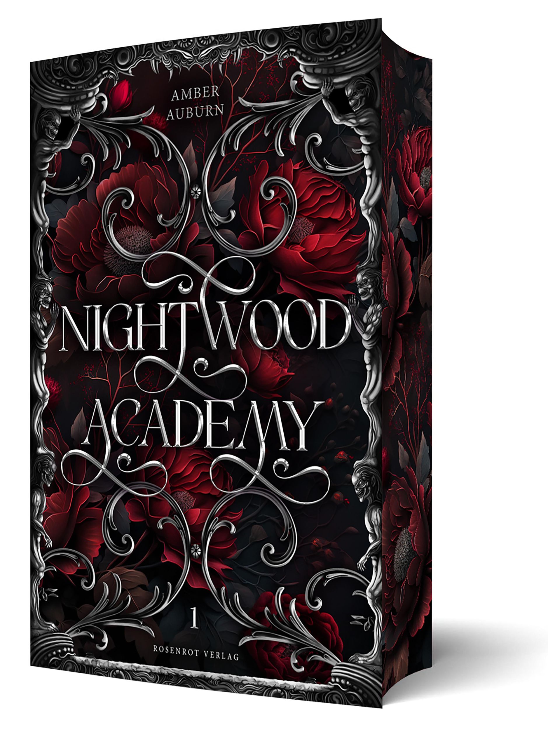 Cover: 9783690280112 | Nightwood Academy 1 - Dark Romantasy Serie | Amber Auburn | Buch