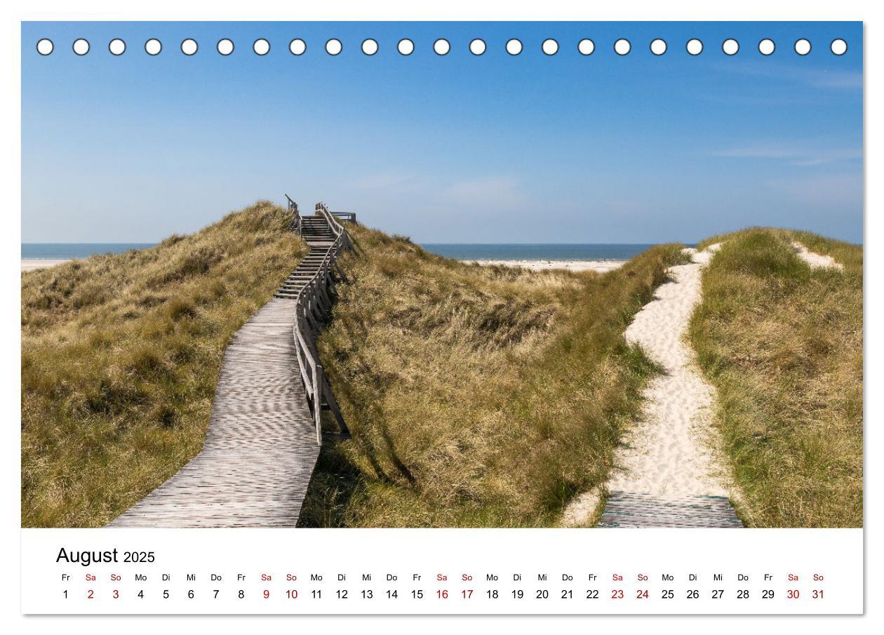 Bild: 9783383896651 | Amrum - Das Paradies in der Nordsee (Tischkalender 2025 DIN A5...