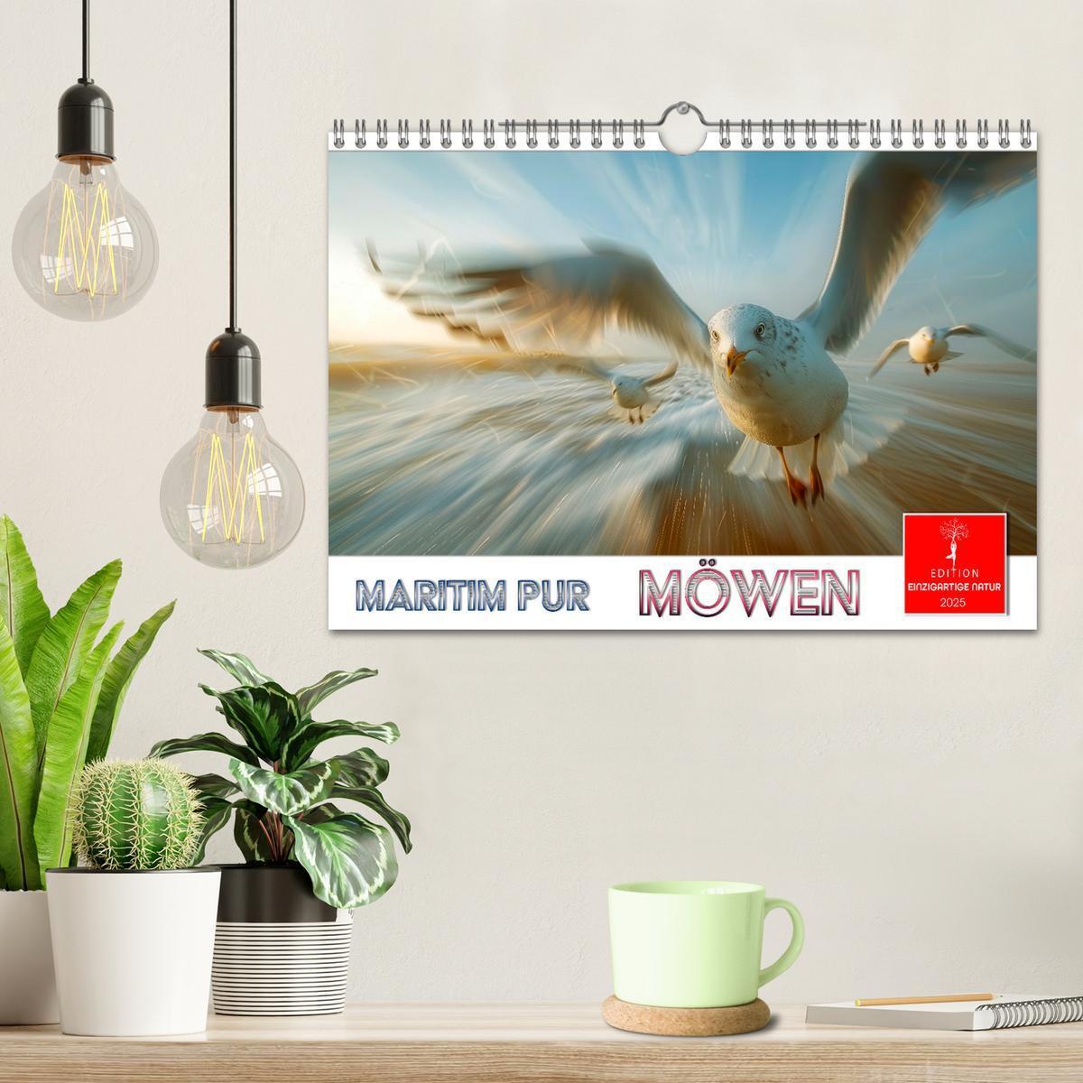 Bild: 9783457162446 | Maritim pur - Möwen (Wandkalender 2025 DIN A4 quer), CALVENDO...