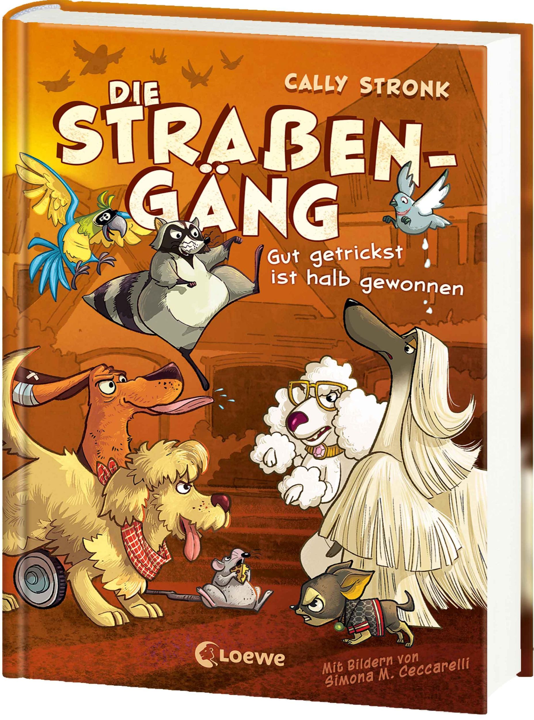 Cover: 9783743215122 | Die Straßengäng (Band 2) - Gut getrickst ist halb gewonnen | Stronk