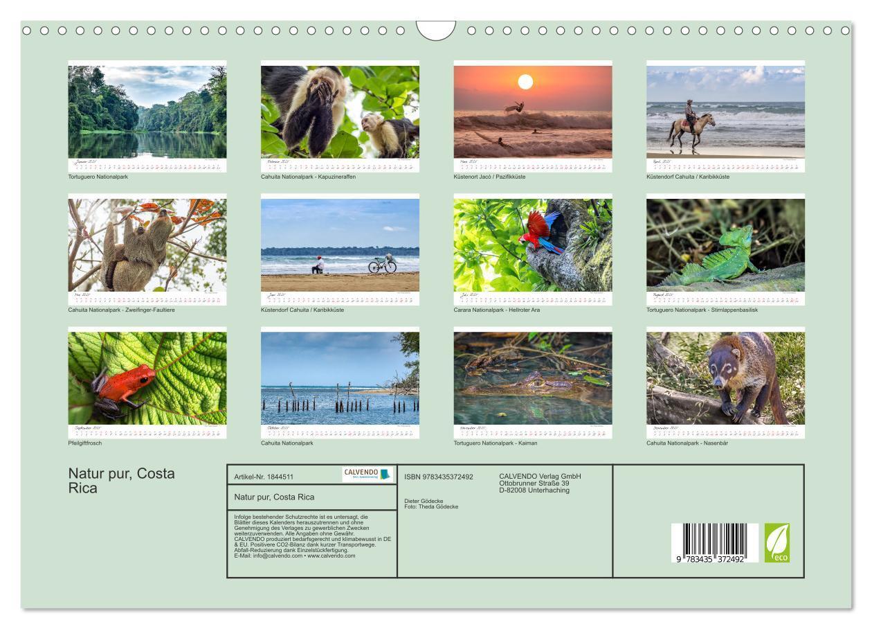 Bild: 9783435372492 | Natur pur, Costa Rica (Wandkalender 2025 DIN A3 quer), CALVENDO...