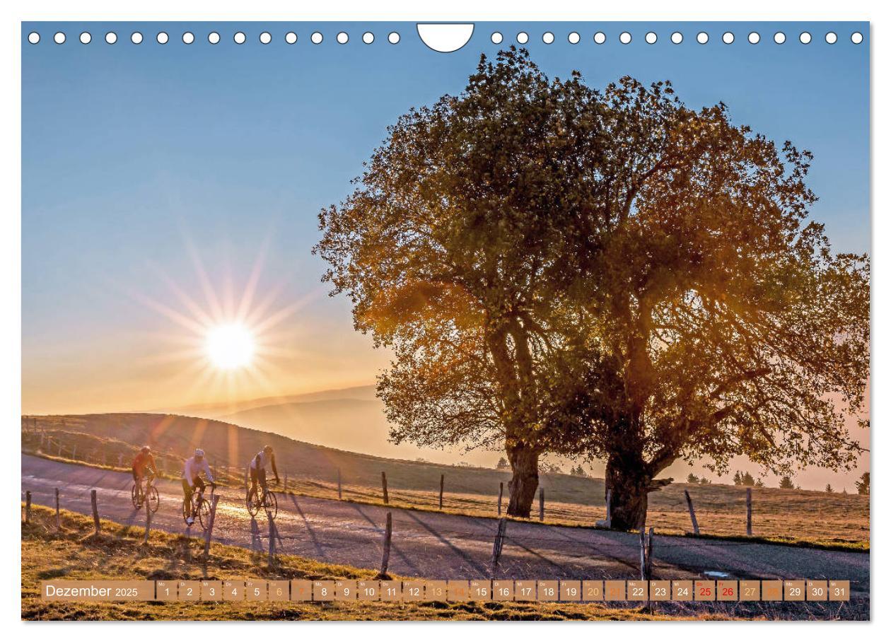 Bild: 9783435128235 | Sonne in den Speichen - Faszination Rennrad (Wandkalender 2025 DIN...