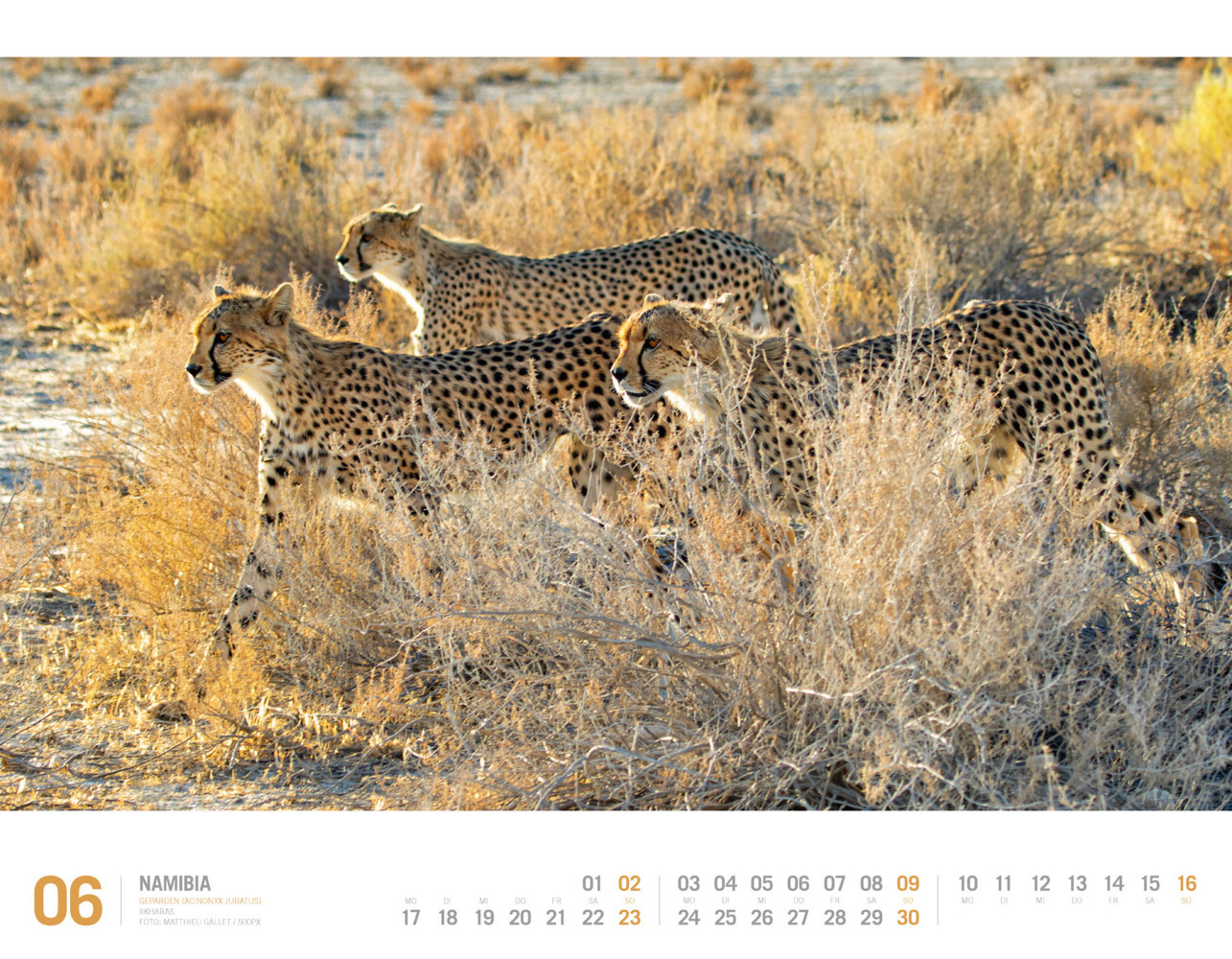 Bild: 9783838424552 | Namibia - Unterwegs zwischen Wüste und Wasser Kalender 2024 | Kalender
