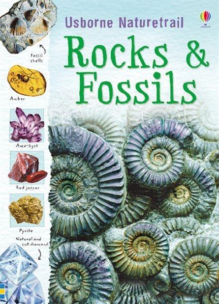 Cover: 9781409527695 | Rocks and Fossils | Struan Reid | Taschenbuch | Englisch | 2010