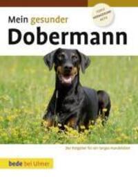 Cover: 9783800167807 | Mein gesunder Dobermann | Lowell Ackerman | Buch | bede bei Ulmer