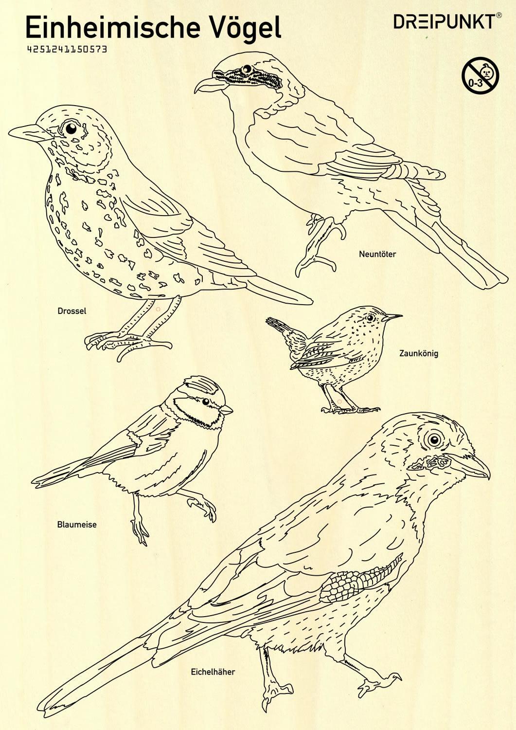 Bild: 4251241150573 | Laubsägevorlage Einheimische Vögel | Schulze Media GmbH | Stück | 2020