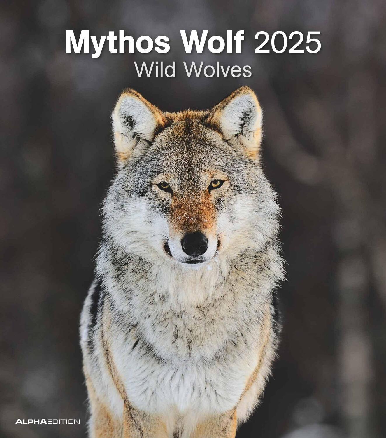 Cover: 4251732342166 | Mythos Wolf 2025 - Foto-Kalender - Wand-Kalender - 30x34 | Wild Wolves