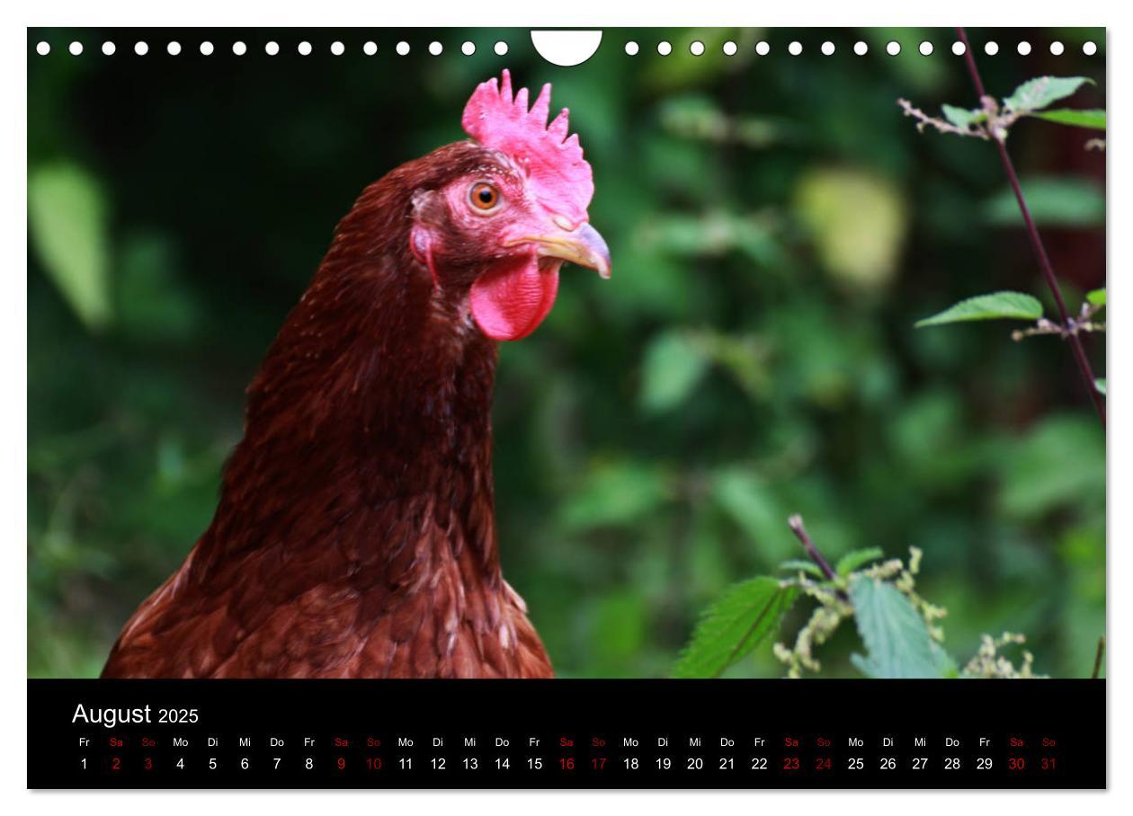 Bild: 9783435394340 | Eulhof (Wandkalender 2025 DIN A4 quer), CALVENDO Monatskalender | 2025