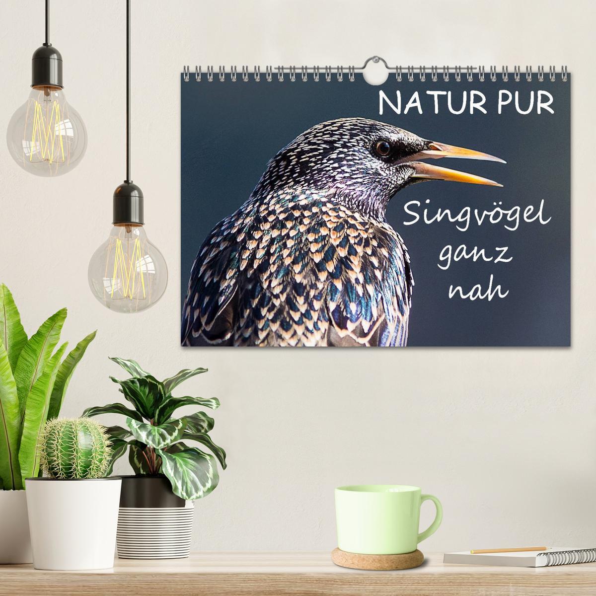 Bild: 9783435729210 | NATUR PUR - Singvögel ganz nah (Wandkalender 2025 DIN A4 quer),...