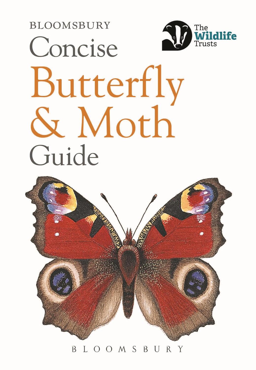 Cover: 9781472963772 | Concise Butterfly and Moth Guide | Bloomsbury | Taschenbuch | Englisch