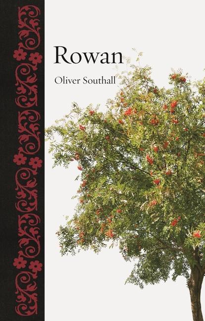 Cover: 9781789147124 | Rowan | Oliver Southall | Buch | Englisch | 2023 | Reaktion Books