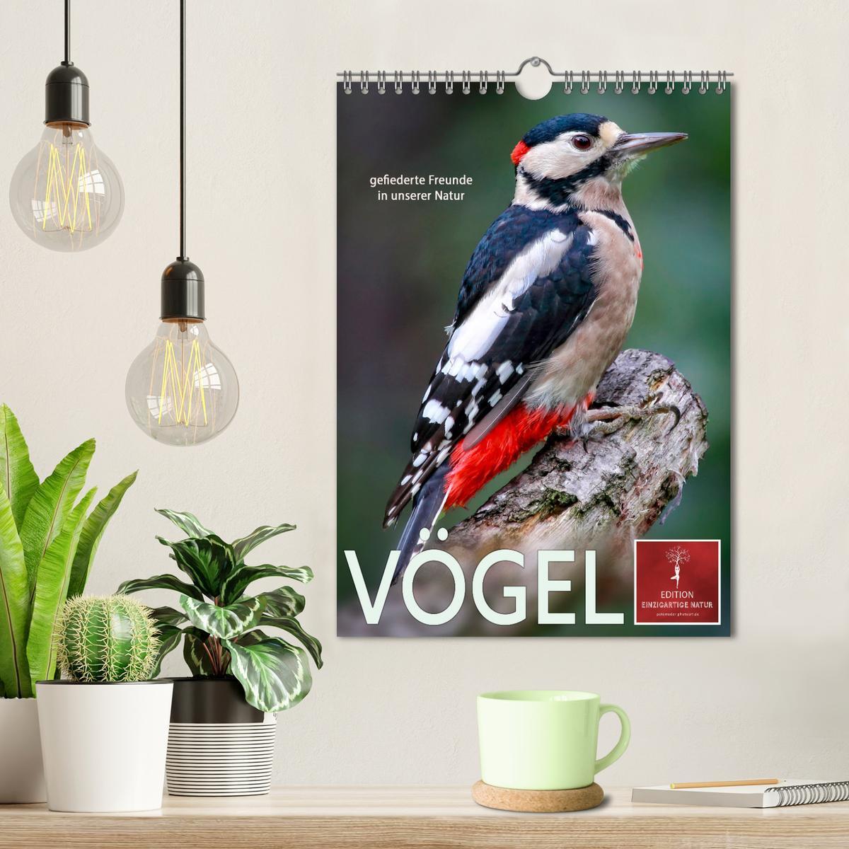 Bild: 9783435931316 | Vögel - gefiederte Freunde in unserer Natur (Wandkalender 2025 DIN...