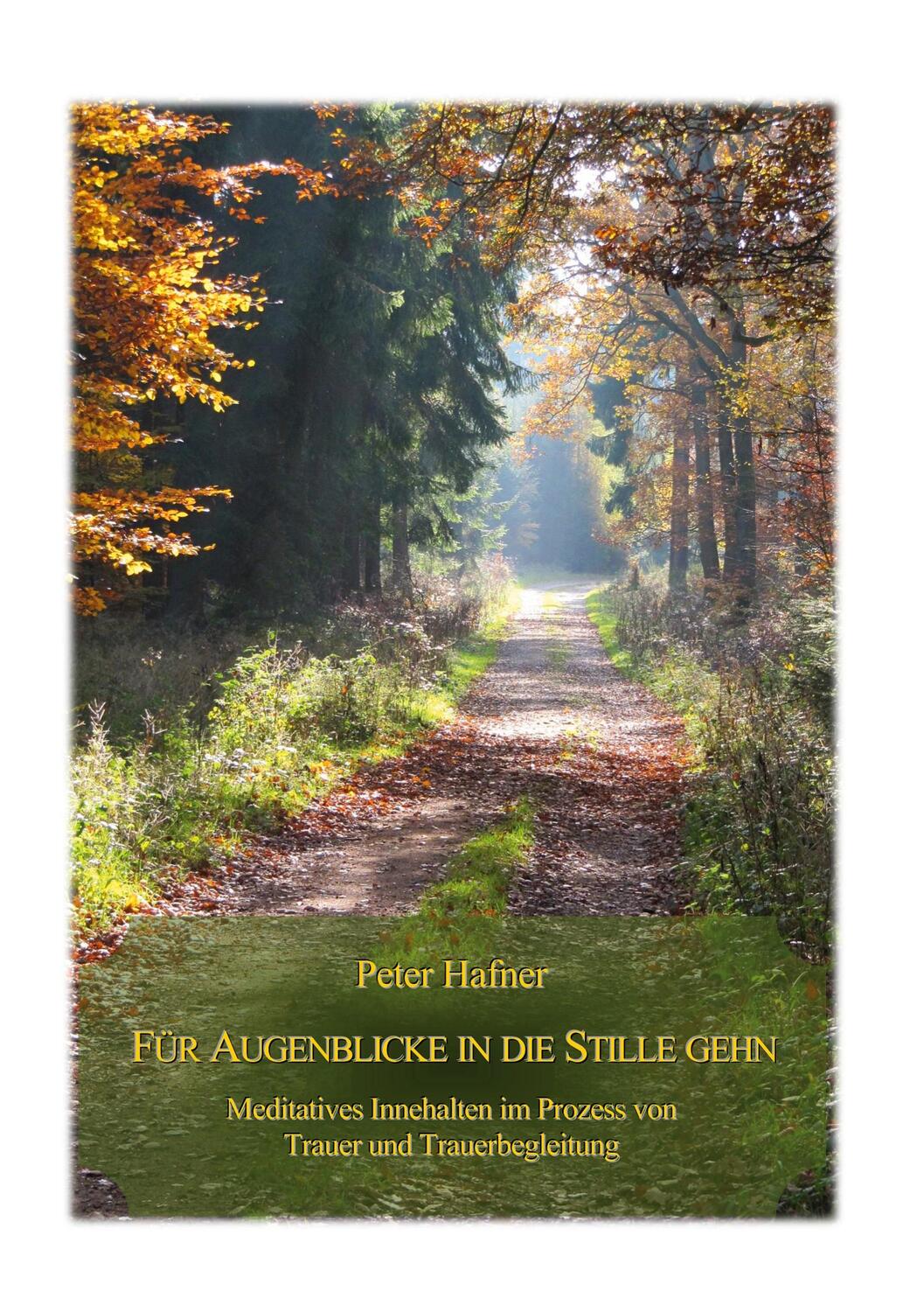 Cover: 9783756202003 | Für Augenblicke in die Stille gehn | Peter Hafner | Buch | Deutsch