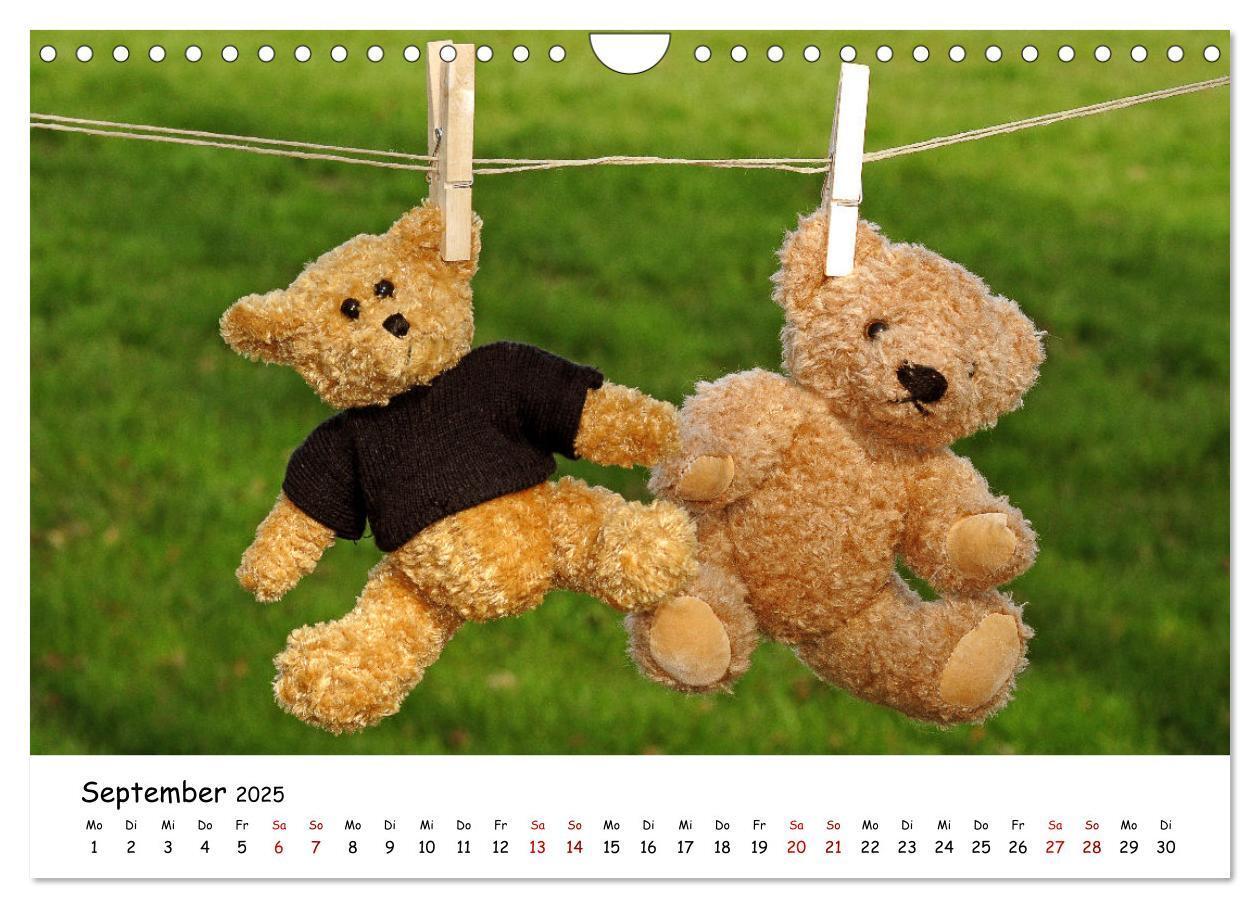 Bild: 9783383964954 | Allerliebste Teddybären (Wandkalender 2025 DIN A4 quer), CALVENDO...