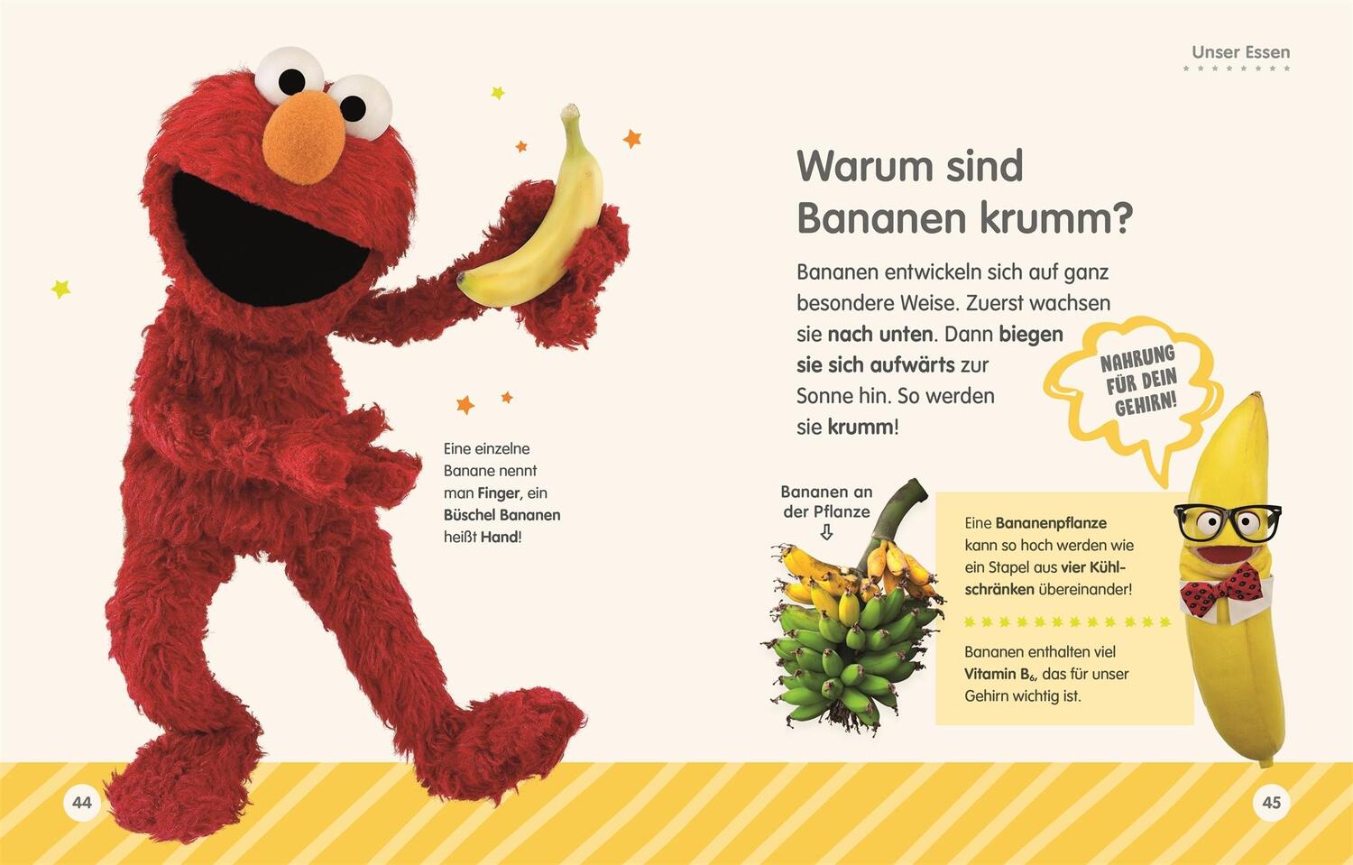 Bild: 9783831048816 | Sesamstraße Elmo fragt warum | Simon Beecroft | Buch | 160 S. | 2024