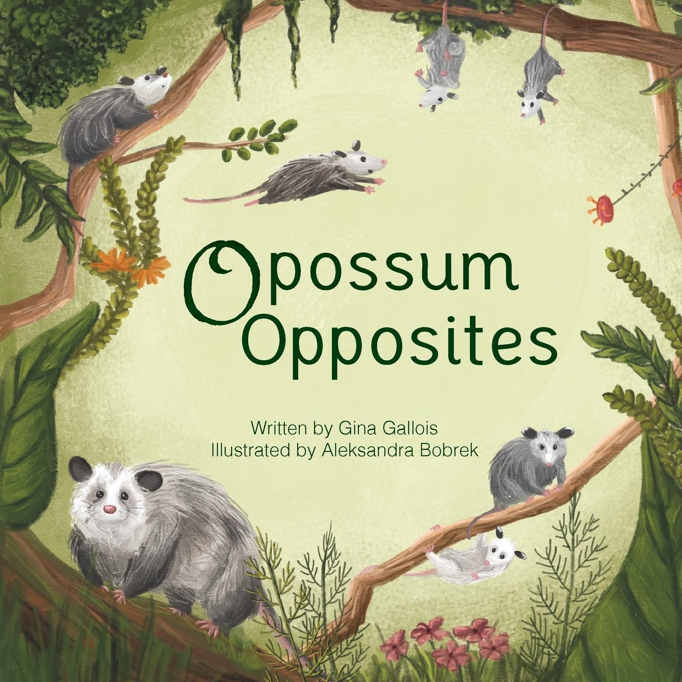 Cover: 9781734542400 | Opossum Opposites | Gina E Gallois | Taschenbuch | Paperback | 2020