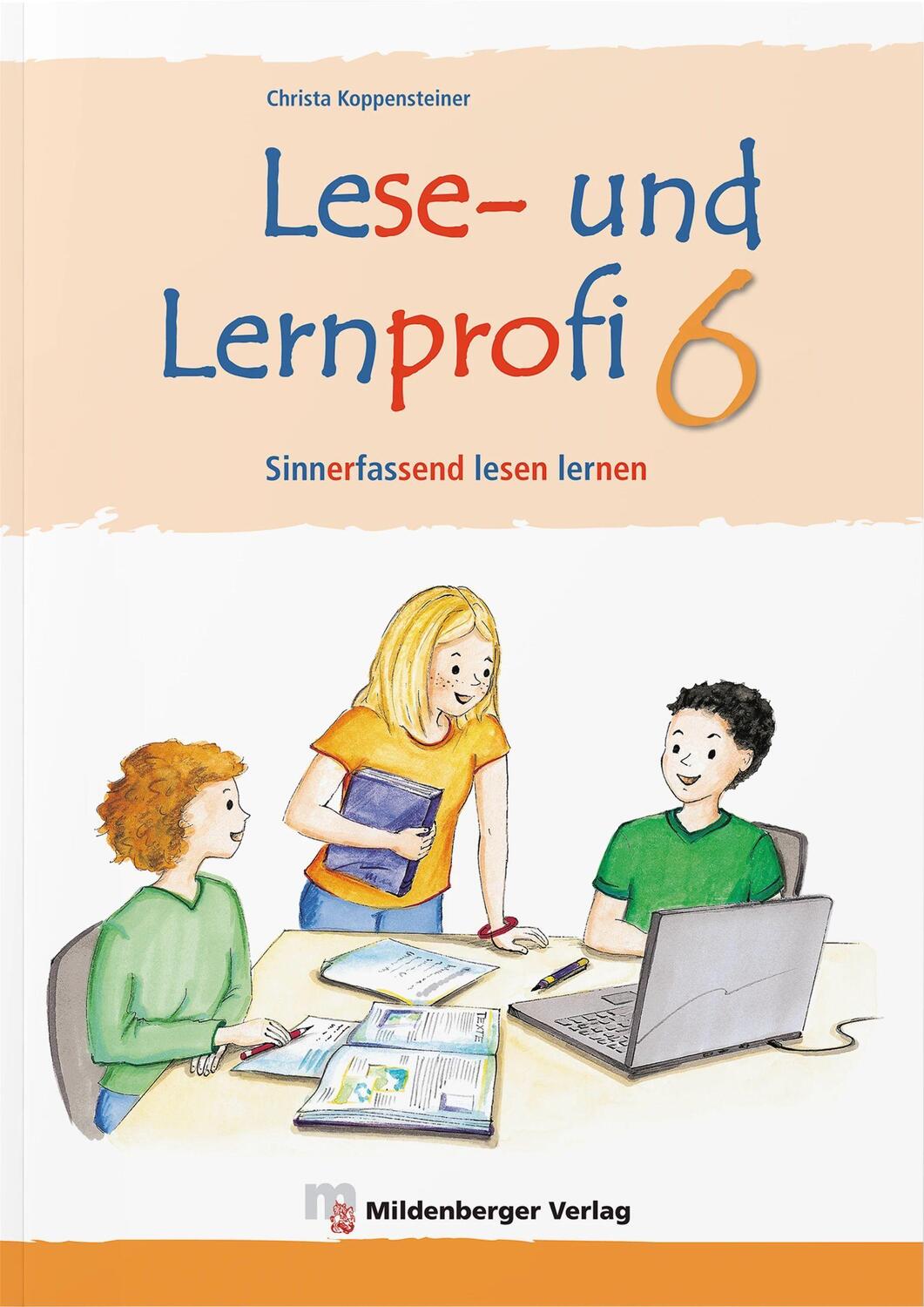 Cover: 9783619646401 | Lese- und Lernprofi 6 - Schülerarbeitsheft - silbierte Ausgabe | Buch