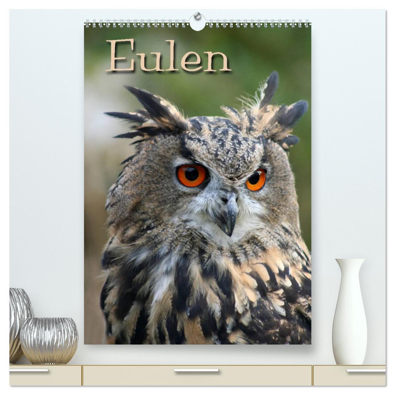 Cover: 9783675961623 | Eulen / CH-Version (hochwertiger Premium Wandkalender 2024 DIN A2...