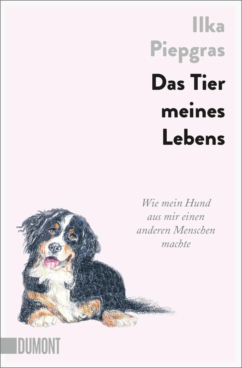 Cover: 9783832166885 | Das Tier meines Lebens | Ilka Piepgras | Taschenbuch | 224 S. | 2023