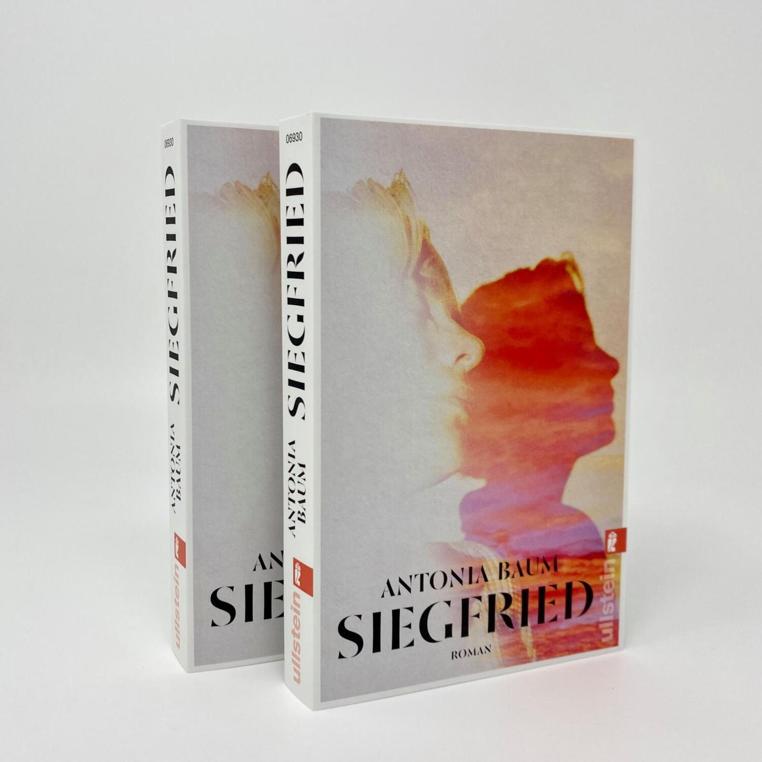 Bild: 9783548069302 | Siegfried | Antonia Baum | Taschenbuch | 256 S. | Deutsch | 2024