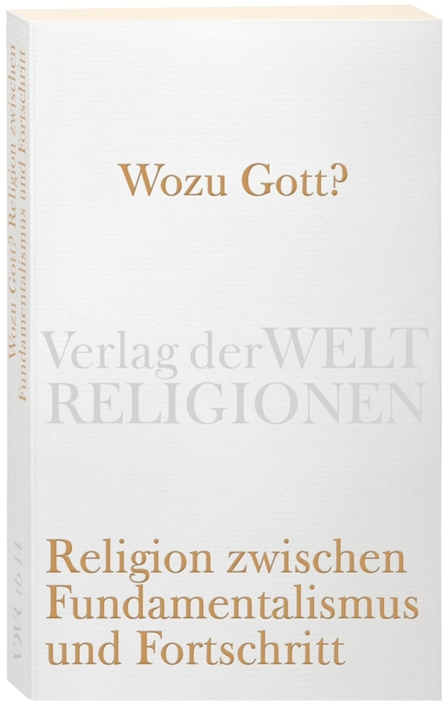 Cover: 9783458720133 | Wozu Gott? Religion zwischen Fundamentalismus und Fortschritt | Buch