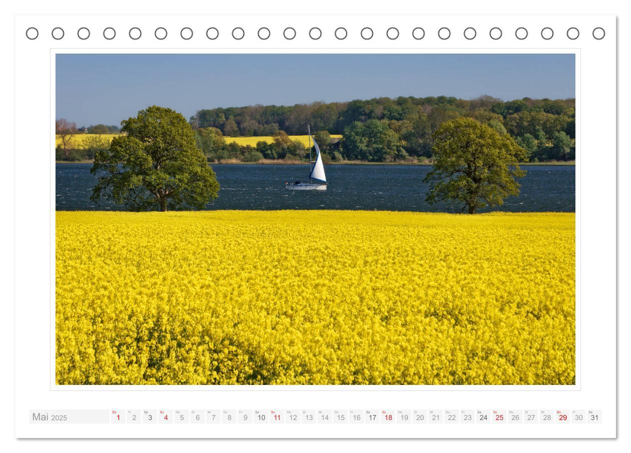 Bild: 9783435315178 | Schleswig-Holstein - über Stadt und Land (Tischkalender 2025 DIN A5...