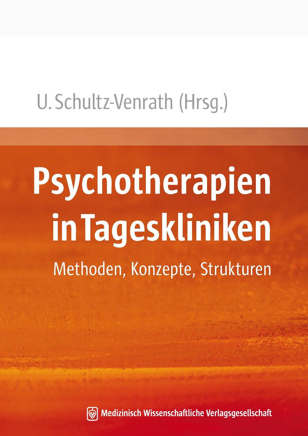 Cover: 9783941468429 | Psychotherapien in Tageskliniken | Methoden, Konzepte, Strukturen
