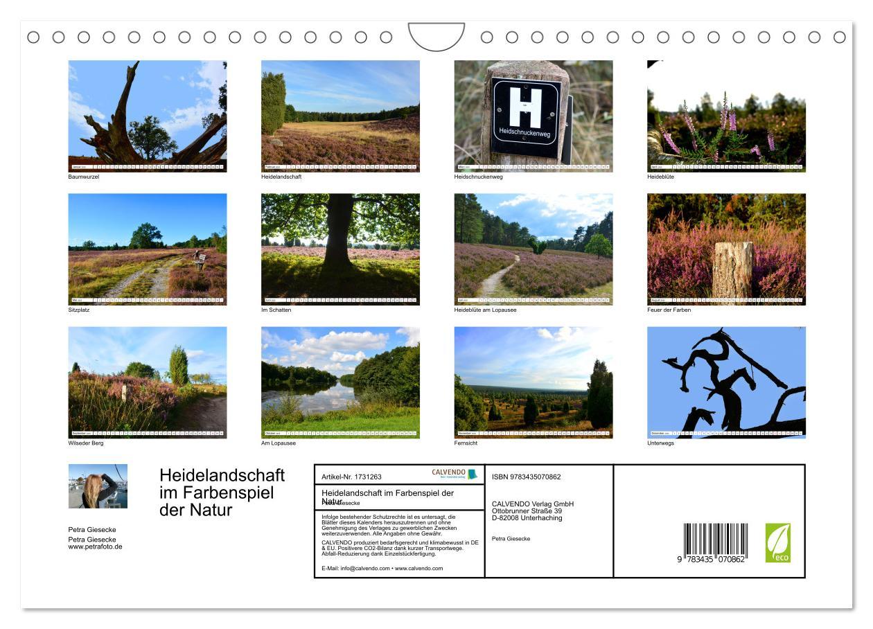 Bild: 9783435070862 | Heidelandschaft im Farbenspiel der Natur (Wandkalender 2025 DIN A4...