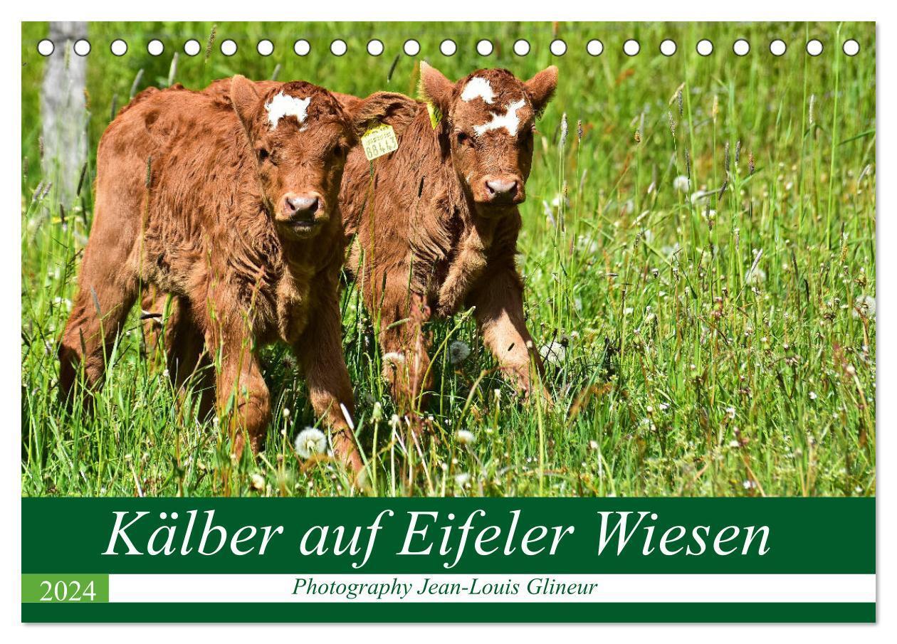 Cover: 9783675878730 | Kälber auf Eifeler Wiesen (Tischkalender 2024 DIN A5 quer),...