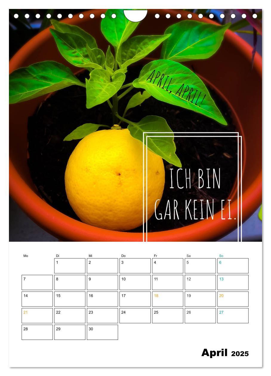 Bild: 9783435965045 | Mit Eiern durch's Jahr. (Wandkalender 2025 DIN A4 hoch), CALVENDO...