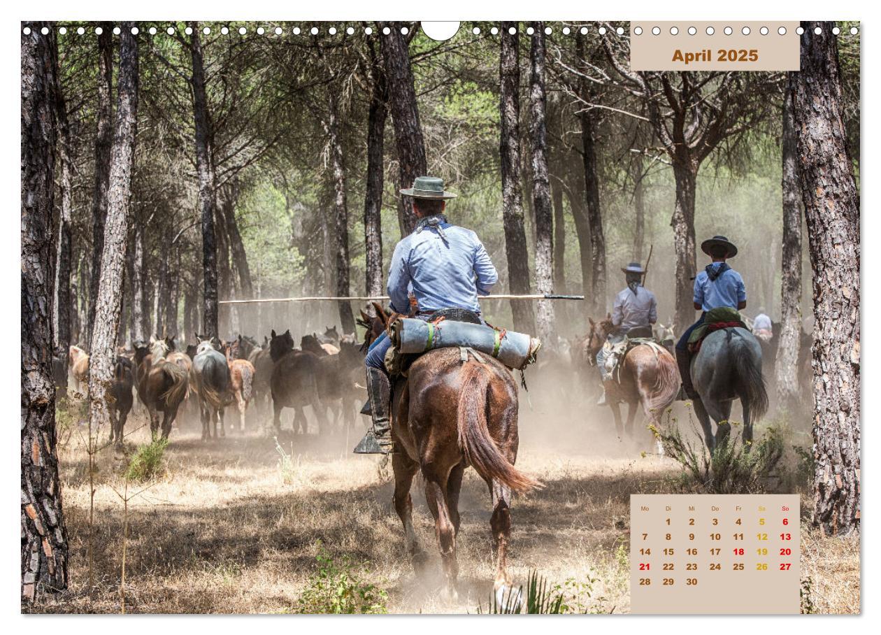 Bild: 9783435105540 | Pferde - Andalusiens wilder Westen (Wandkalender 2025 DIN A3 quer),...