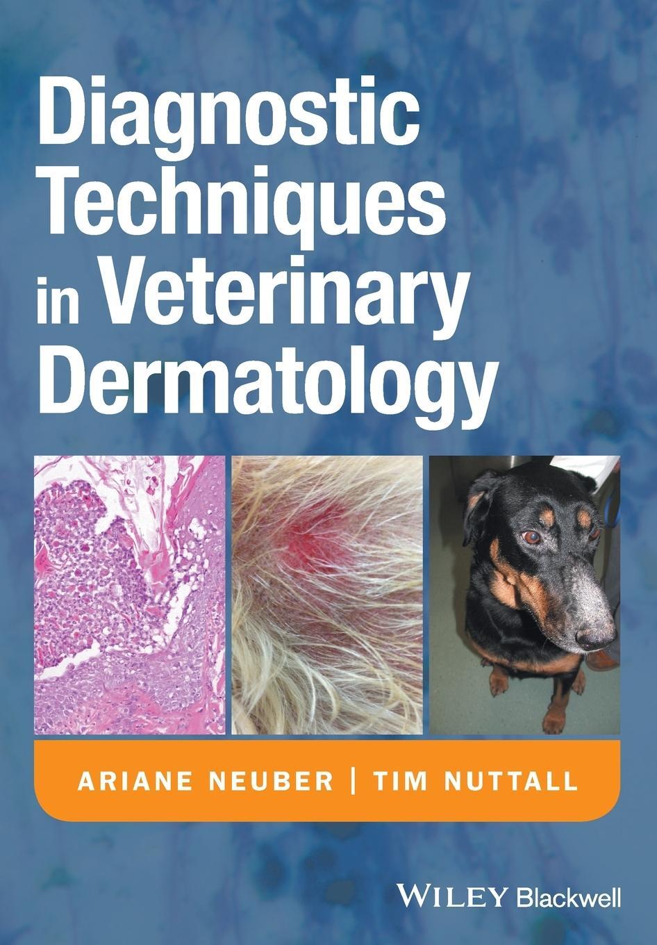 Cover: 9781405139489 | Diagnostic Techniques in Veterinary Dermatology | Ariane Neuber | Buch
