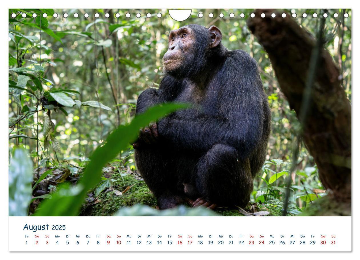 Bild: 9783435002610 | Fernweh Uganda - Naturschönheit Ostafrikas (Wandkalender 2025 DIN...