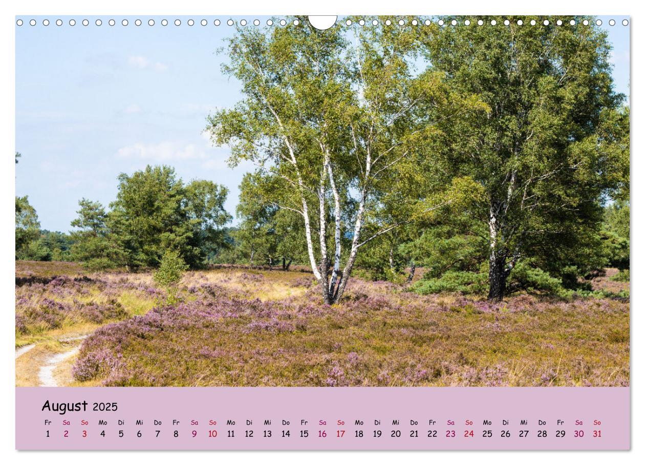 Bild: 9783435030224 | Lüneburger Heide Wege (Wandkalender 2025 DIN A3 quer), CALVENDO...