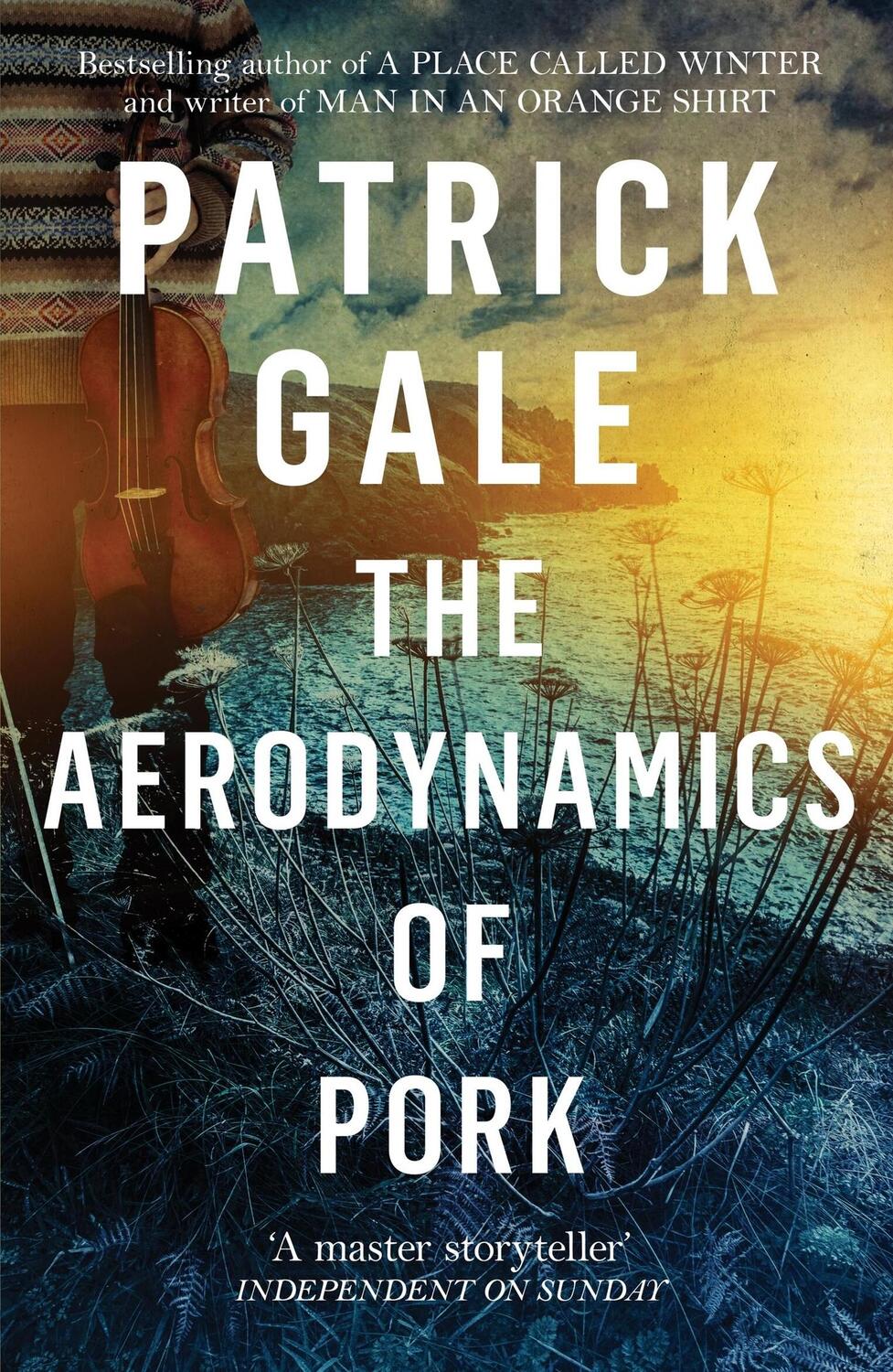 Cover: 9781472255600 | The Aerodynamics of Pork | Patrick Gale | Taschenbuch | Englisch