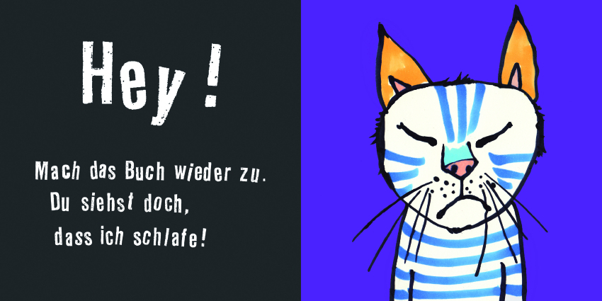 Bild: 9783836959650 | Schlaf, Kater, schlaf! | Antje Damm | Buch | Unzerr. | 26 S. | Deutsch