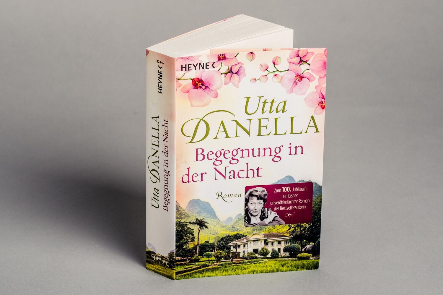 Bild: 9783453424463 | Begegnung in der Nacht | Roman | Utta Danella | Taschenbuch | 400 S.