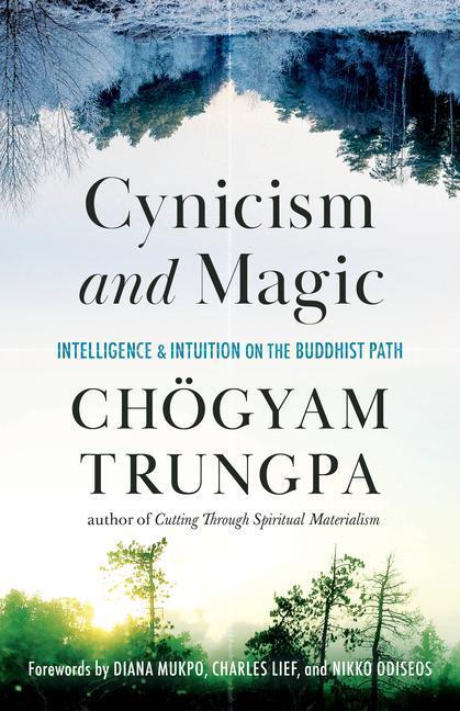 Cover: 9781611808094 | Cynicism and Magic: Intelligence and Intuition on the Buddhist Path