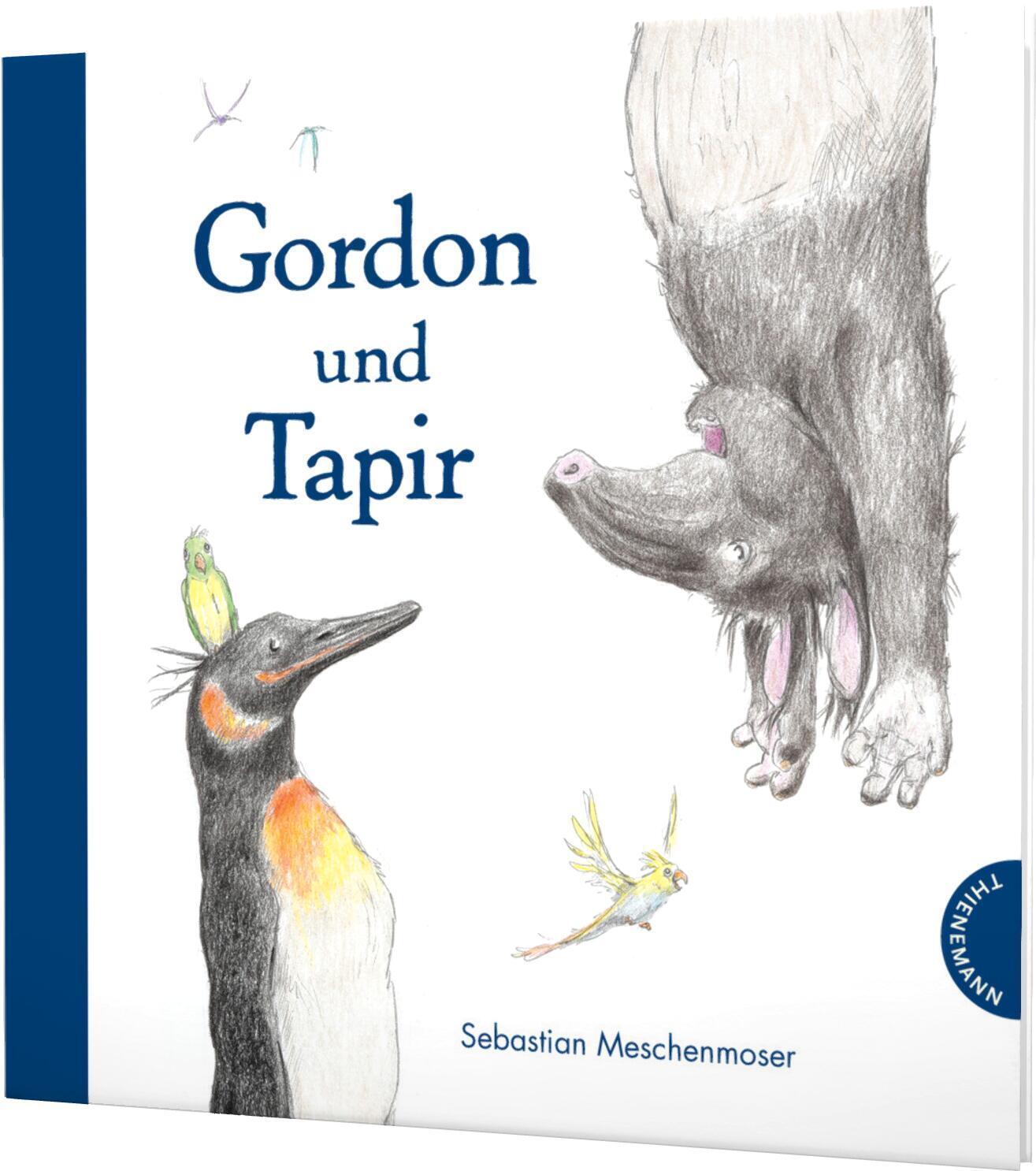 Cover: 9783522458931 | Gordon und Tapir | Sebastian Meschenmoser | Buch | 60 S. | Deutsch