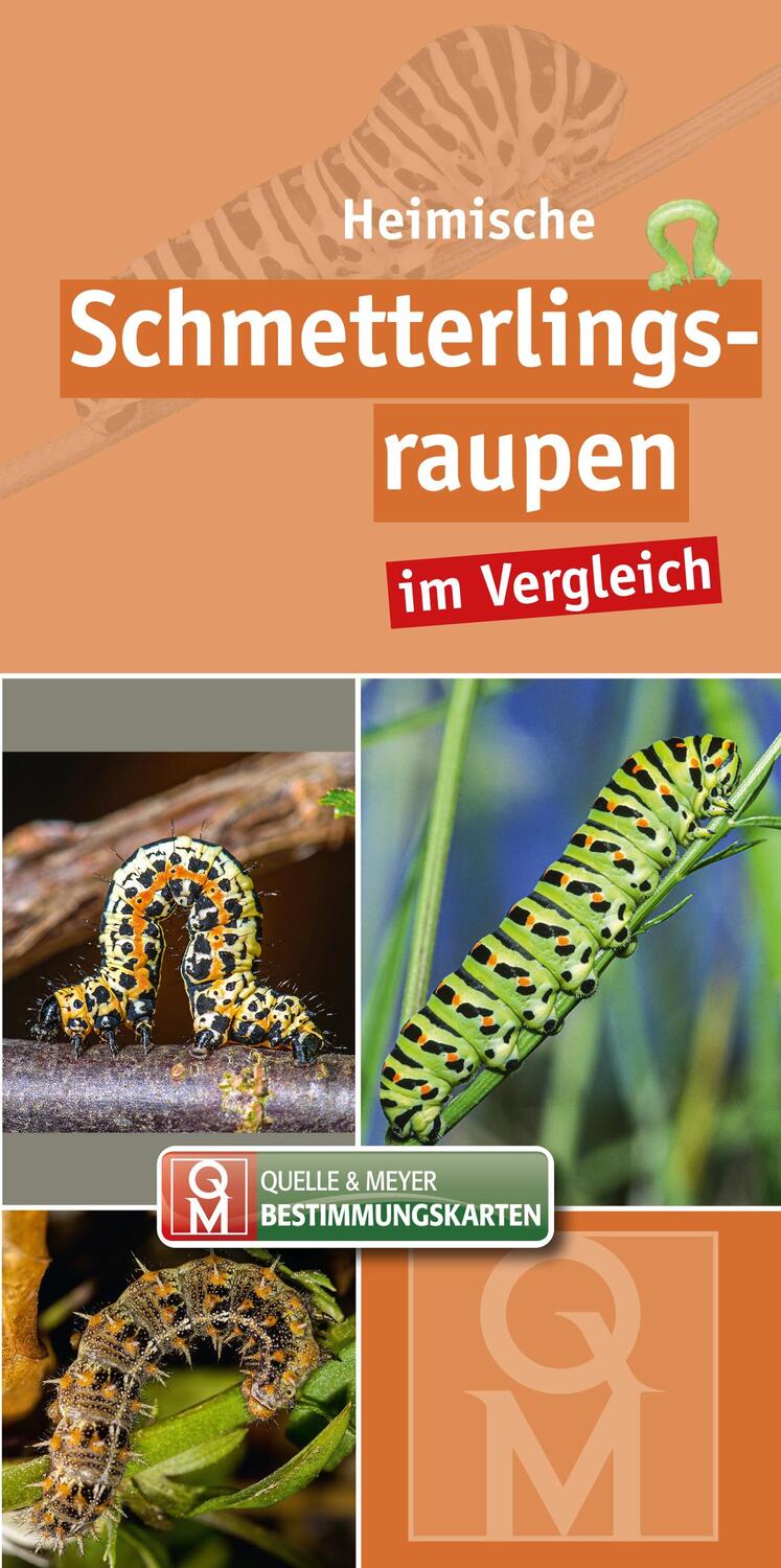 Cover: 9783494018126 | Heimische Schmetterlingsraupen im Vergleich | 10er-Set | Verlag | Buch