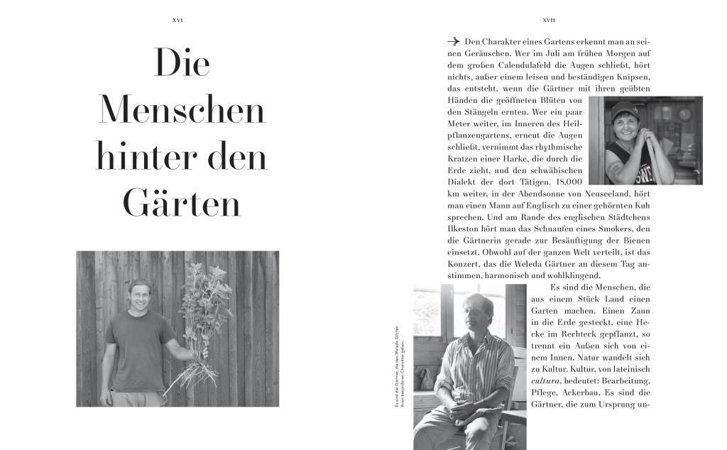 Bild: 9783818609009 | Das Wissen der Weleda Gärtner | Buch | Deutsch | 2019