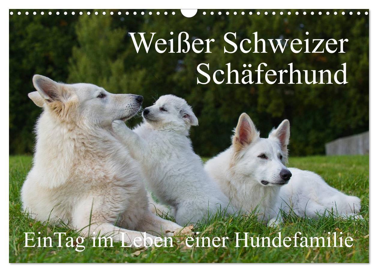 Cover: 9783435759262 | Weißer Schweizer Schäferhund - Ein Tag im Leben einer Hundefamilie...