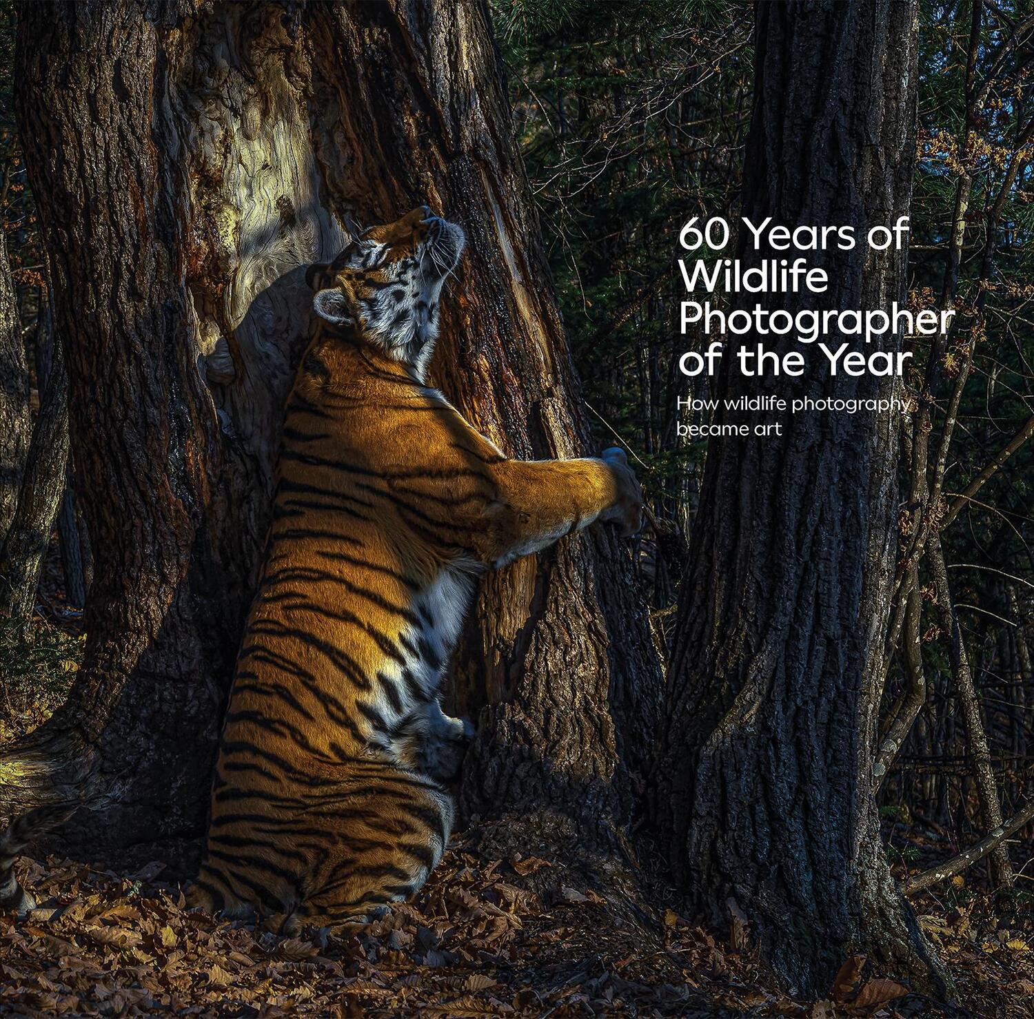 Cover: 9780565095628 | 60 Years of Wildlife Photographer of the Year | Buch | Englisch | 2024