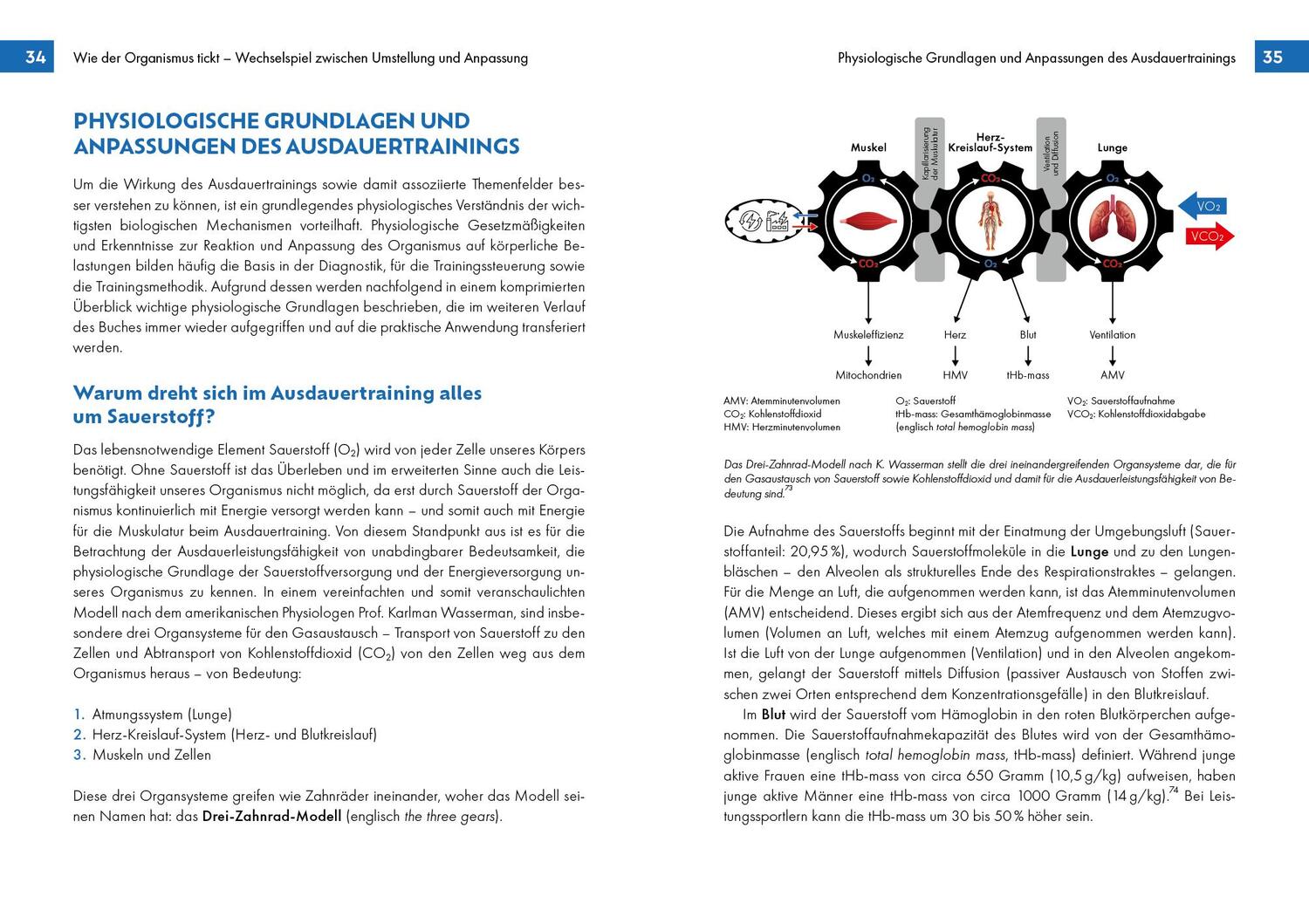 Bild: 9783742325648 | Voll im Takt - Ausdauertraining im Rhythmus des Herzschlags | Buch