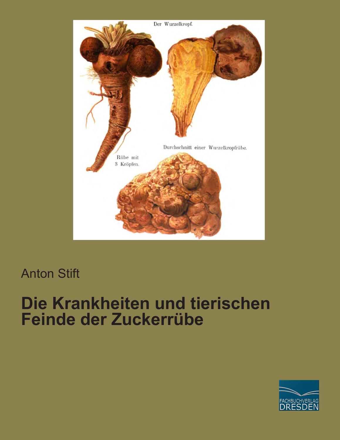 Cover: 9783956928369 | Die Krankheiten und tierischen Feinde der Zuckerrübe | Anton Stift